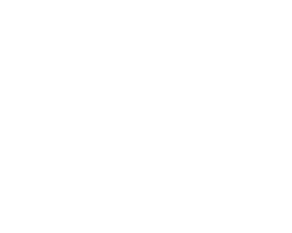 AIDA ORGA, Logo